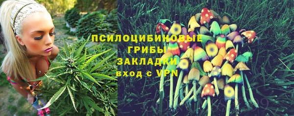 Альфа ПВП Армянск