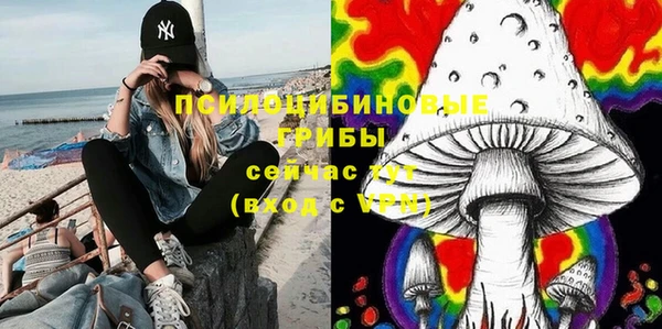 Альфа ПВП Армянск