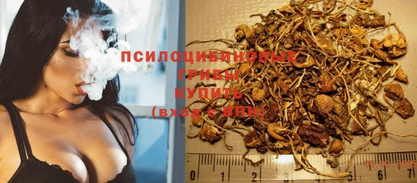 Альфа ПВП Армянск