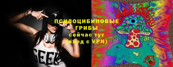 крисы Арсеньев