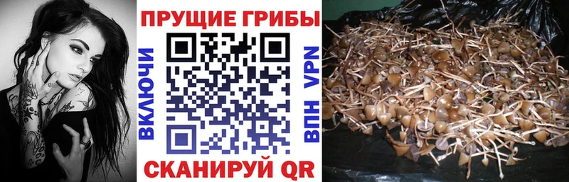 Псилоцибиновые грибы мухоморы  хочу   Мценск 